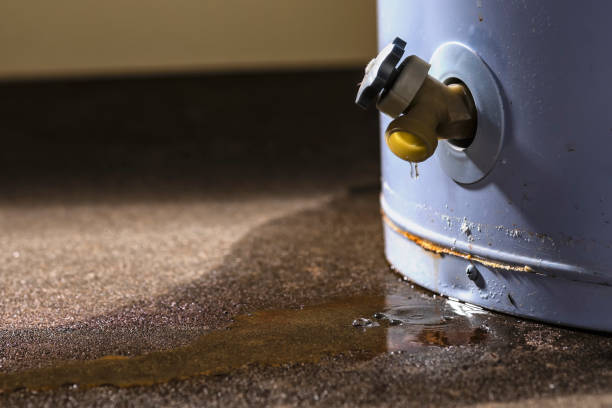 Best Flooded house restoration  in Kincaid, IL