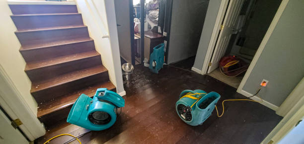 Best Water damage repair service  in Kincaid, IL