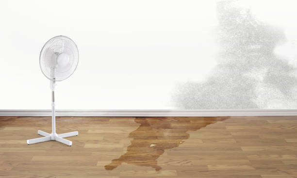 Best Sewage cleanup and water damage restoration  in Kincaid, IL