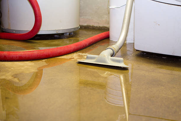 Best 24/7 water damage repair  in Kincaid, IL