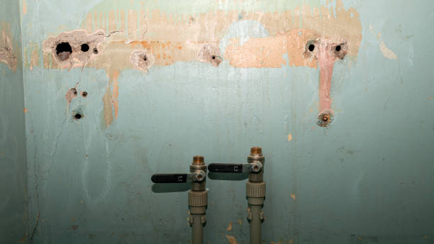 Best Basement water damage restoration  in Kincaid, IL