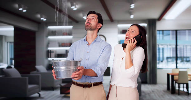 Best Flood damage cleanup  in Kincaid, IL